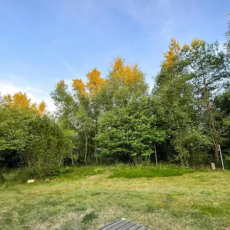 Log On Large Nature Plot With Sun Feriehus Fur