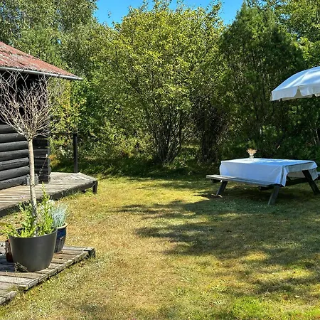 Log On Large Nature Plot With Sun